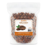 Semilla Grano De Cacao Criollo 100% Organico 1 Kg Premium