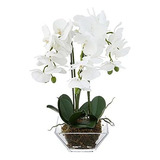 Nearly Natural 4570 Triple Phalaenopsis Orquídea En Jarrón D