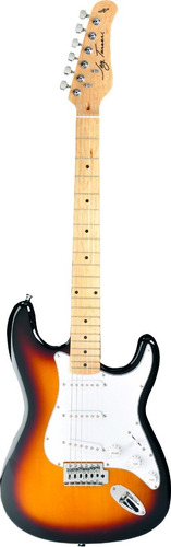 Guitarra Eléctrica Stratocaster Jay Turser Jt-300m-tsb