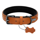 Collar De Cuero Acolchado Para Perros 