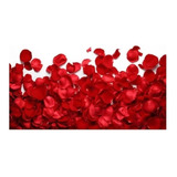 2.000 Pétalas De Rosas Artificiais Vermelha + 1000 Brancas
