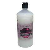 Shampoo Profissional Sem Sal Jean Bryan 1,125ml Ceramidas