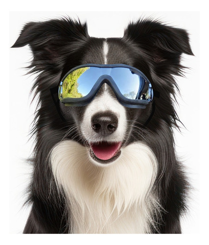 Lentes De Sol Uv Para Perro Mediano Y Grande