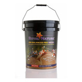 Sal Royal Nature Ion Balanced Pro Salt 10kg (balde)