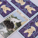 Baraja Completa De Cartas En Inglés Cats For Oracle Cards, T