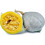 Semilla  De Calabaza  De Hortalizas Tree Seeds Huerto Urbano Por Unidad De 1 X 10 De 0.1g