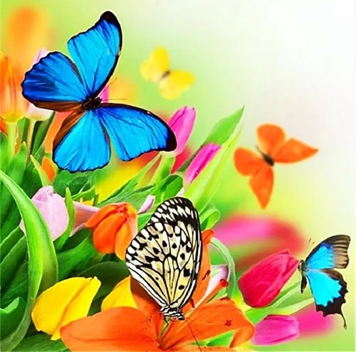 Kit Diamond Painting Pintura De Diamante - Mariposas Flores