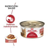 24 Latas Royal Canin Adult Instinct Para Gato 85 G