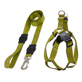 Kit Para Cachorros Grande Porte Guia + Peitoral Bee