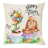 Funda Familiar Con Cojín Para El Día De Pascua De R Pillow