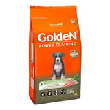 Ração Golden Filhotes Power Training Frango E Arroz 15 Kg