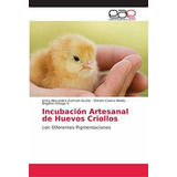 Incubacion Artesanal De Huevos Criollos