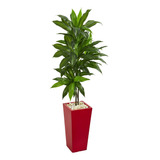 6435 Planta Artificial Dracaena En Macetero Rojo, 539