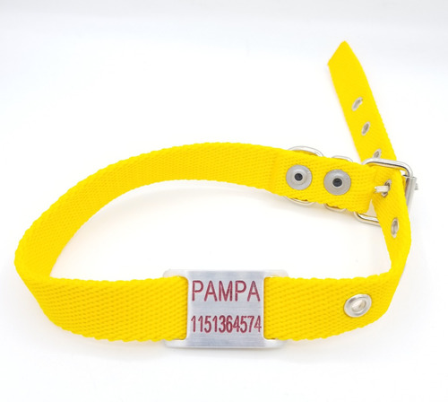 Chapita Para Perro Pasador Chico (modelo 28)+collar Amarillo