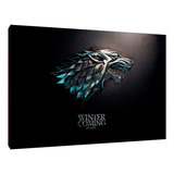 Cuadros Poster Series Game Of Thrones M 20x29 (tst (3)