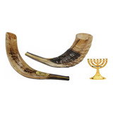 Shofar De Carneiro De Tocar  + Brinde De Israel