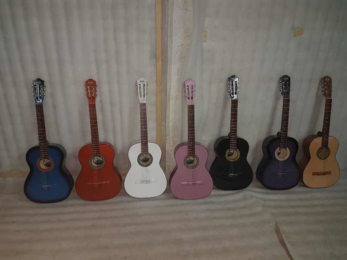 Guitarra Y Funda