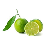 5 Semillas De Fruta Limón, Maceta, Huerta O Cultivo