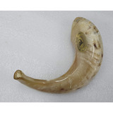 Cuerno De Carnero De Carnero Pequeño Shofar De Música Jud.