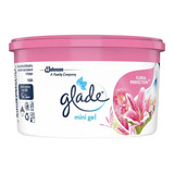 Glade Aromatizante En Gel P/carro -hogar 70g Floral Perfecti