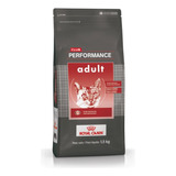 Royal Canin Club Performance Gato Adulto 7.5 Kg Envio!