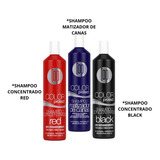 Shampoos  Matizador Concentrados Topcolor*rojo- Negro- Azul*