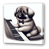 Cuadro 45x45cm Perro Pequines Tocando El Piano Dibujo M4