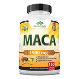 Raiz De Maca Organica Negro, Rojo, Amarillo 1900mg 150 Cap