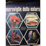 Meraviglie Della Biologia - Tenica - Natura