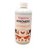 Monómero Liquido Para Uñas Wapizima Medio Litro O 16oz