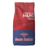 Semente De Milho Shs Superr - 60.000 Sementes - Santa Helena