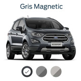 Color De Retoque Ford Gris Magnétic Ranger  Ecosport Fiesta 