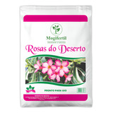 Substrato Rosas Do Deserto 5kg Orgânico Planta Desertica