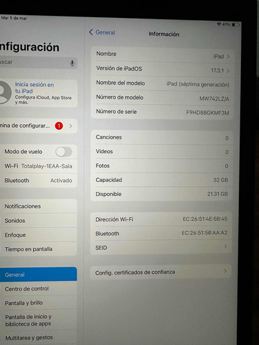 Apple iPad 7 Generación (estética 98%)