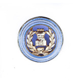 Insignia Emblema Servicio Penitenciario