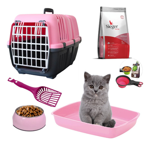 Kit De Bienvenida Gatos Gatas Gatitos Felino Mascota Combo 