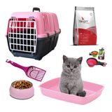 Kit De Bienvenida Gatos Gatas Gatitos Felino Mascota Combo 