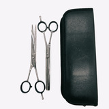 Set Tijera Barbero Peluquero Plata 7  Mod 149 208 Importada