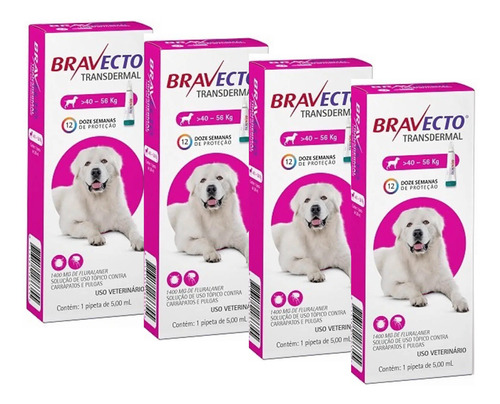 4 Bravecto Transdermal Cães 40 A 56kg Antipulgas Carrapatos