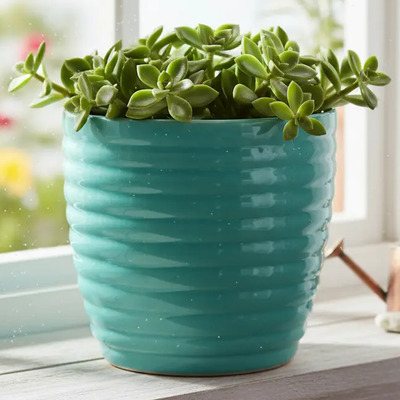Maceta Cerámica Panal #1 Para Orquídeas, Cactus Y Suculentas Color Aqua | Meses sin interés