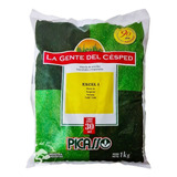 Semilla Césped Pasto Picasso Excel I X 1 Kg