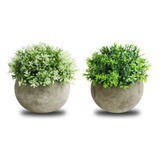 2x Plantas Artificiales Macetas Decorativas Bonsai Verde