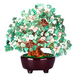 Feng Shui Dinero Árbol Árbol Bonsai De Cumpleaños Verde