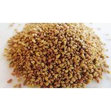 Semillas Alfalfa X 2 Kg Variedad Pampeana