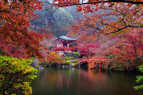 Fundo Fotográfico Tecido Jardim Japonês 2,20m X 1,50m