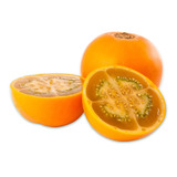 50 Sementes Naranjilla / Lulo - Frutífera - Sementes Frecas
