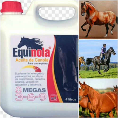 Equinola 4 Lts. Aceite Canola Para Equinos Envío Gratis