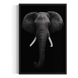 Quadro Decorativo - Elefante - 80x 120 Grande - Com Moldura