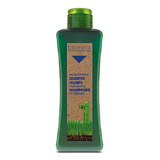 Shampoo Hidratante Biokera 300ml Con Aceite De Trigo Salerm 