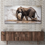 Cuadro Elefante Colores Canvas Elegante Sala Anima40 130x70